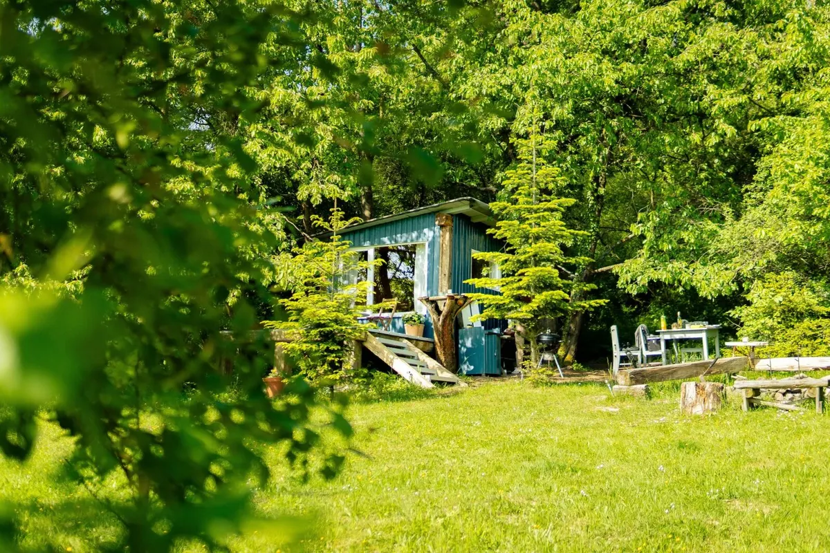 Cabin in a meadow
