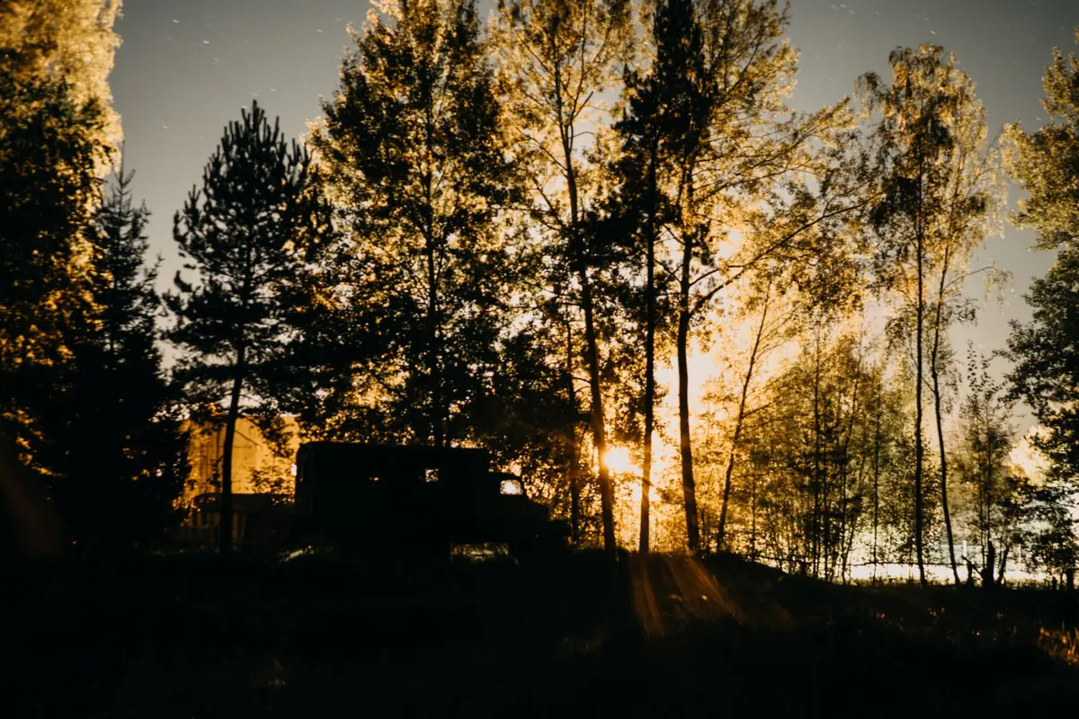 Hütte und Sauna in der Dämmerung