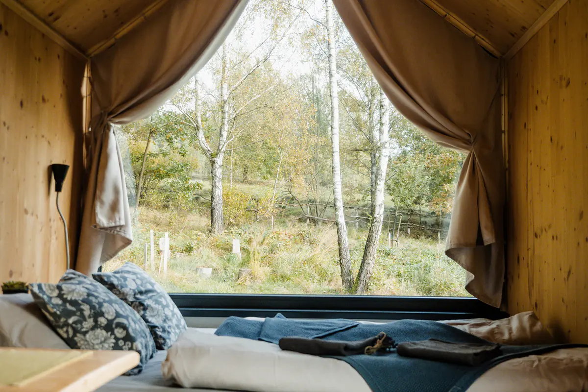 Bett am Fenster mit Blick in den Birkenwald