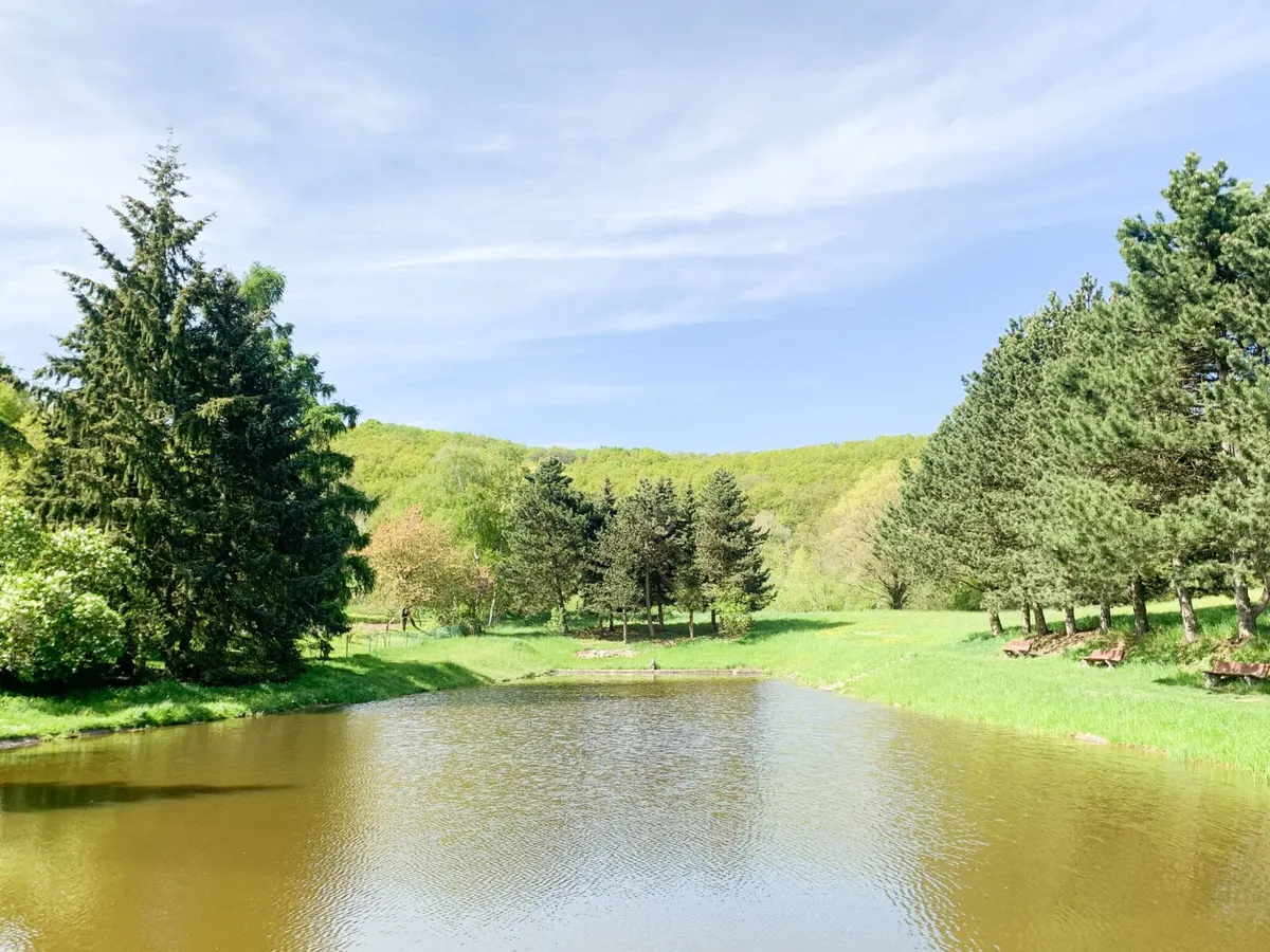 A pond near the glamping